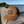Retro Trucker Hat (Saddle / Black)