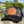 Duck Camo Trucker Hat (Black Duck Camo / Black)
